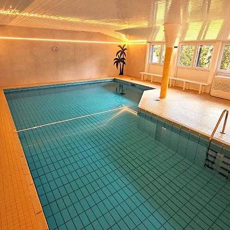 6 Pers Schwimmbad Sauna Ruheraum Freizeitabteilung Darts Tischtennis Fussball Terrasse Mit Riesem Garten Im Wald Nahe Stadmitte Und Bikepark Mit Fahrradlift Tennis Golfplatz Buchbarem Massages Im Wellnessresort Der Brabander Winterberg