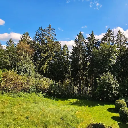 6 Pers Schwimmbad Sauna Ruheraum Freizeitabteilung Darts Tischtennis Fussball Terrasse Mit Riesem Garten Im Wald Nahe Stadmitte Und Bikepark Mit Fahrradlift Tennis Golfplatz Buchbarem Massages Im Wellnessresort Der Brabander * Winterberg