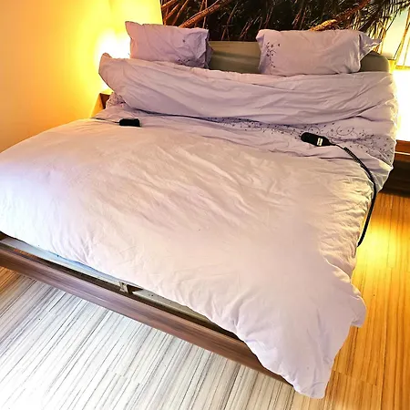6 Pers Schwimmbad Sauna Ruheraum Freizeitabteilung Darts Tischtennis Fussball Terrasse Mit Riesem Garten Im Wald Nahe Stadmitte Und Bikepark Mit Fahrradlift Tennis Golfplatz Buchbarem Massages Im Wellnessresort Der Brabander Apartment Winterberg