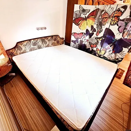 Apartment 6 Pers Schwimmbad Sauna Ruheraum Freizeitabteilung Darts Tischtennis Fussball Terrasse Mit Riesem Garten Im Wald Nahe Stadmitte Und Bikepark Mit Fahrradlift Tennis Golfplatz Buchbarem Massages Im Wellnessresort Der Brabander *