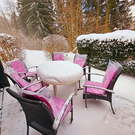 6 Pers Schwimmbad Sauna Ruheraum Freizeitabteilung Darts Tischtennis Fussball Terrasse Mit Riesem Garten Im Wald Nahe Stadmitte Und Bikepark Mit Fahrradlift Tennis Golfplatz Buchbarem Massages Im Wellnessresort Der Brabander Apartment